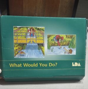 LDA 'What Would You Do?' Educational Book